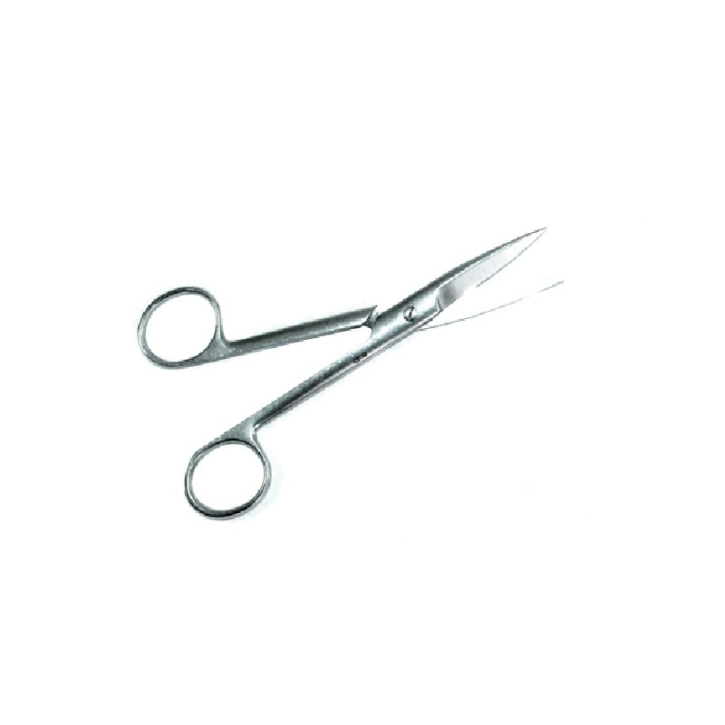 Acero inoxidable profesional Scissors-Straight señaló