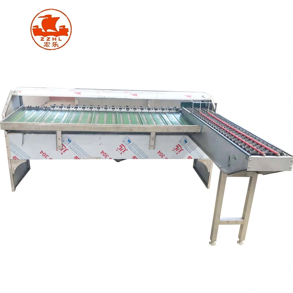 Scale Small Egg Washing Grading Sorting Machinery Chicken Farm Egg Grader