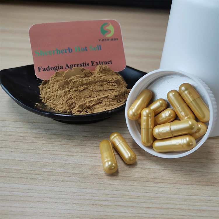 Sheerherb OEM Private Label Fadogia Agrestis et Tongkat Ali Extract Supplement Capsule