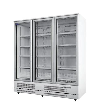 Mini Store Energy-Saving Supermarket Cooler