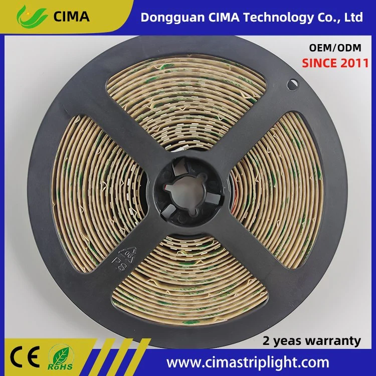 CE RoHS LED Strip Light 24V 3 Years Warranty 5m/Roll 10mmpcb 12W 5050 2835 LED Light Strips