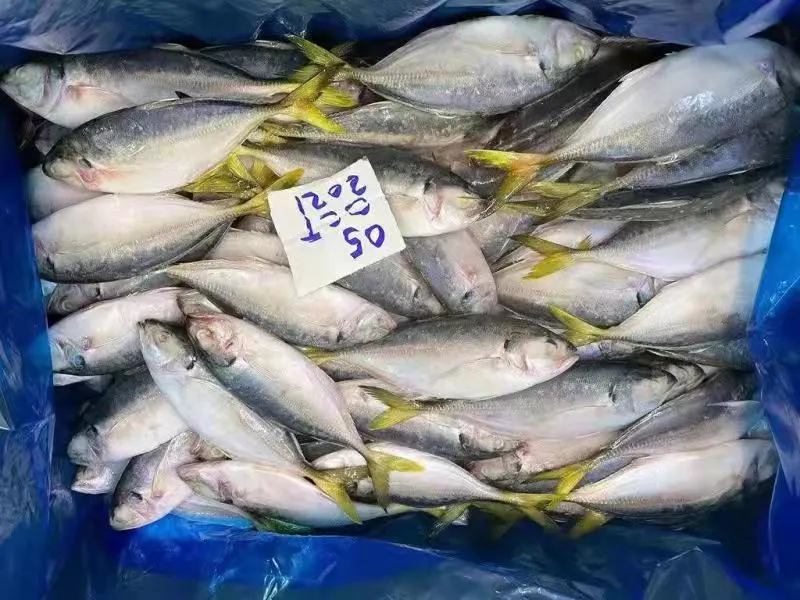 Самый дешевый из свежих морепродуктов замороженные желтые задние Йемена Yellowtail Scad рыбных продуктов питания