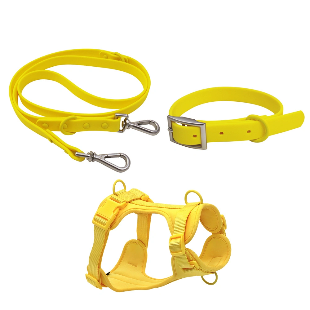 New Style Popular Outdoor Waterproof Luxury Pet Leash Pet Harness Set