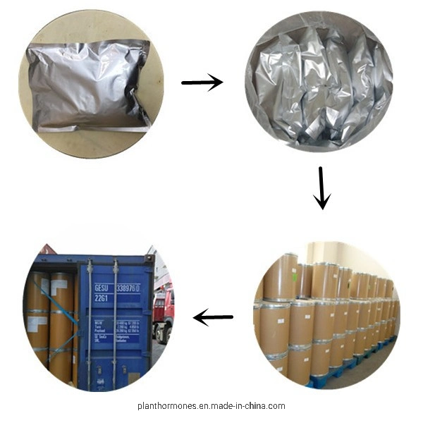 Chlorpyrifos Technical Raw Material Pesticides