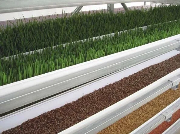 La production Microgreens ferme HYDROPONIQUE NFT verticale des systèmes de canaux en PVC avec système de recyclage de l'engrais