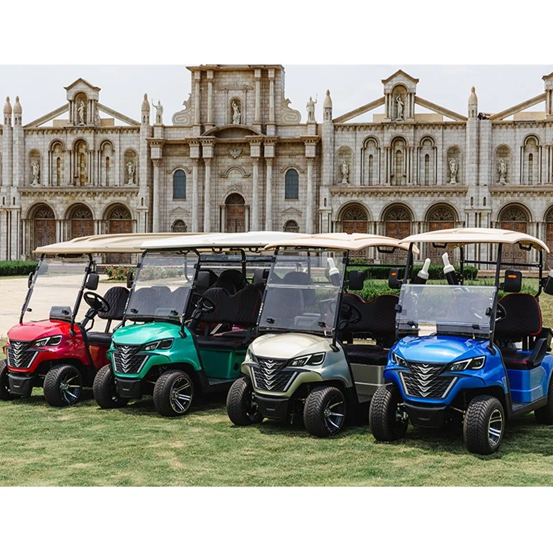 Popular Lithium Battery Adequate Stock 2 Seater Wholesale/Supplierr Electric Golf Cart Golf Buggy Forge G2