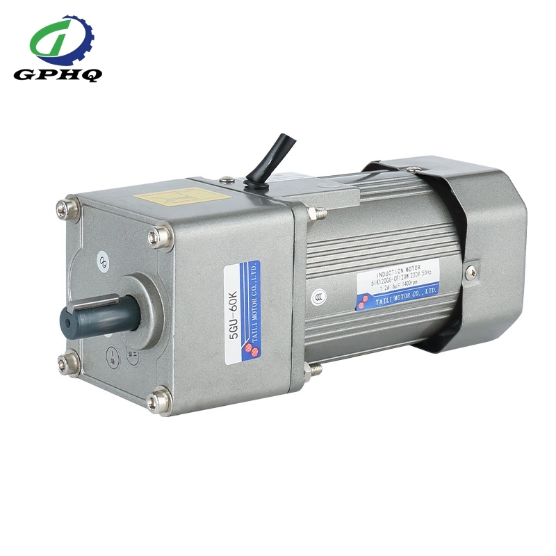 Low Power AC Gear Motor with Speed Controller