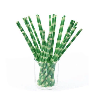 Eco-Friendly Cocktail Bamboo Drinking Paper Straws 6*150mm