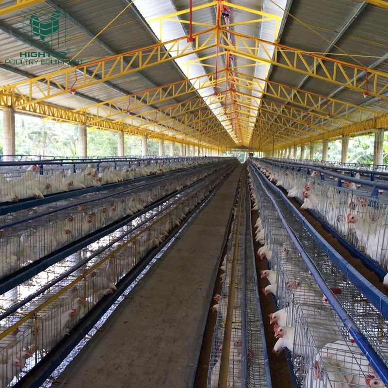 Hot Sale 128 160 Birds Capacity Cheap Hot Dip Galvanized  Poultry Farming A Type 4 Tiers Laying Hens Layer Chicken Cage in Algeria