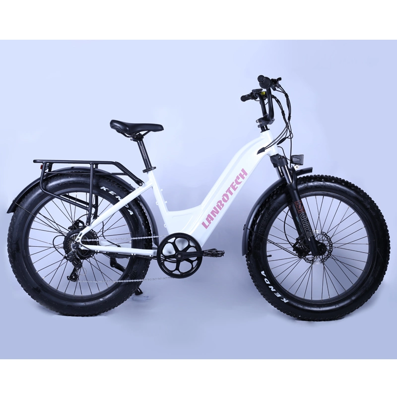 2021 New Design Step Through Fat Tire Electric Bike 5% Discount