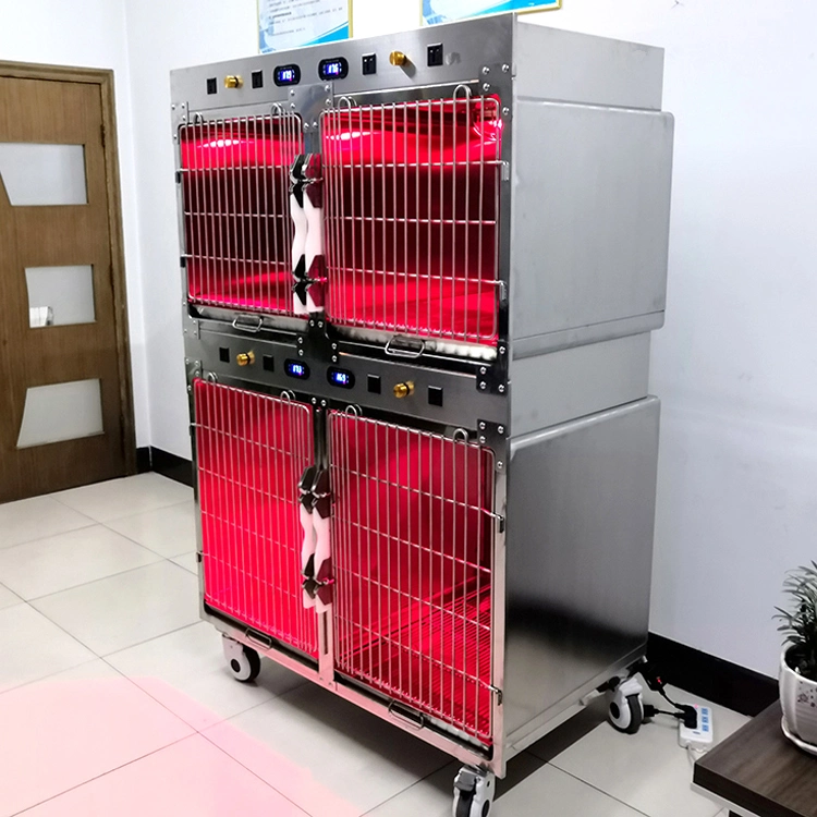 Factory Direct Supply of Stainless Steel Physiotherapy Cages for Pet Hospitals