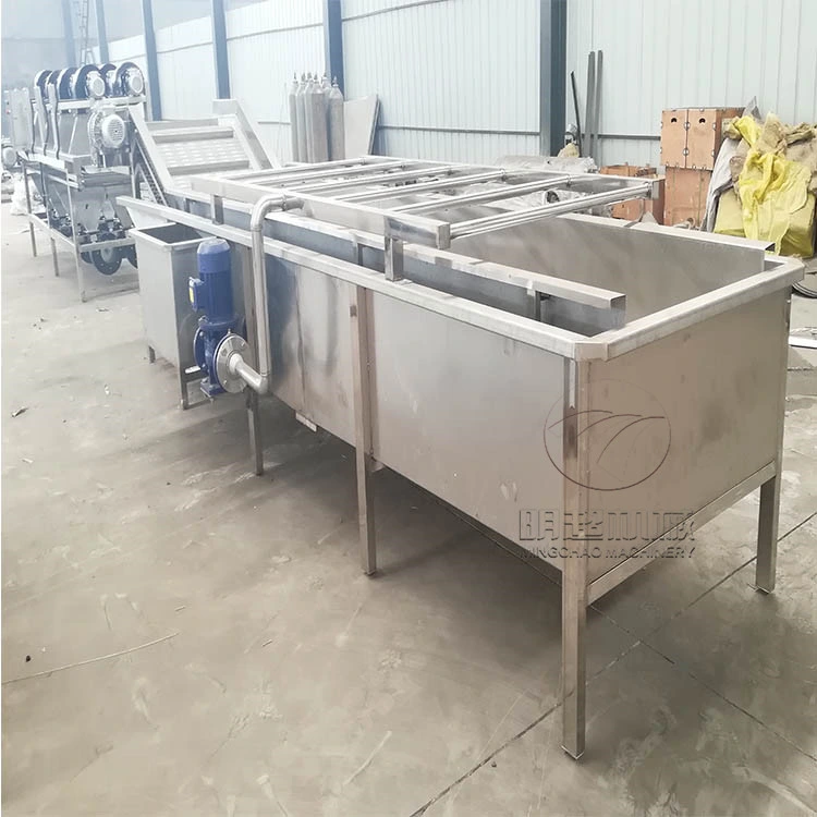 Fully Automatic Industrial Water High Pressure Saving Vegetable and Pepper Cleaning Machine