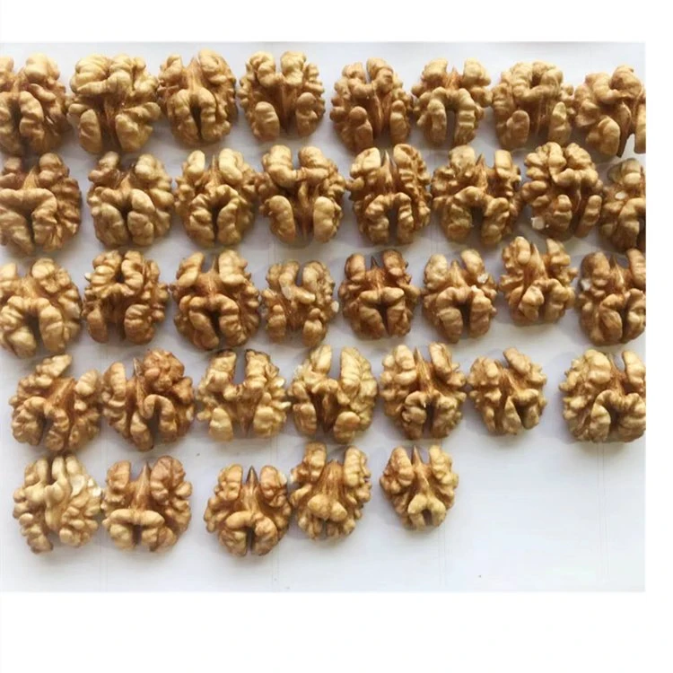 Walnut Kernels Xin 2 Type