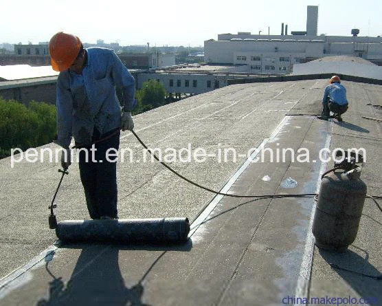 Sbs/APP Modified Waterproof Membrane Price/Roof Waterproof Membrane