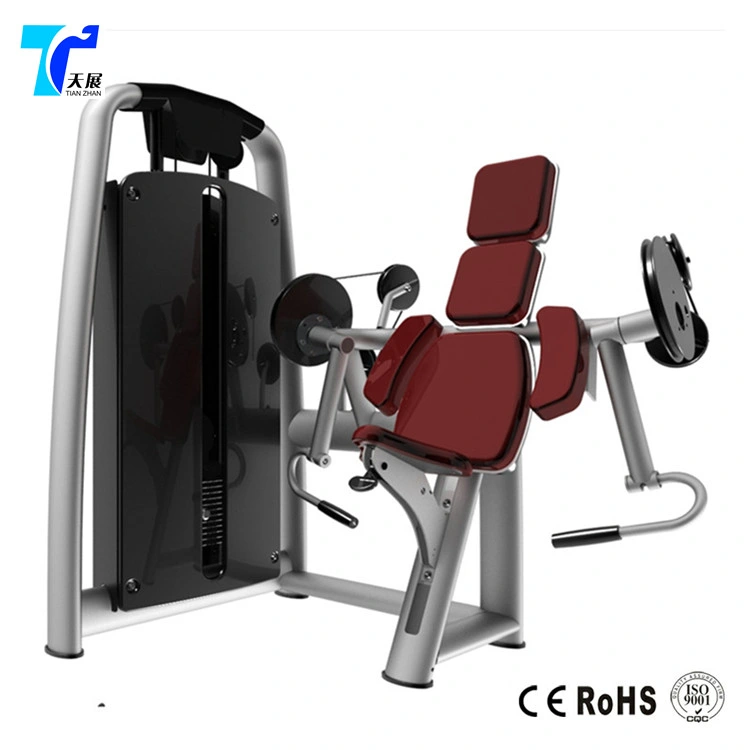 Biceps Curl Tz-6013/Muscle Strength Equipment/ Gym Fitness Machine