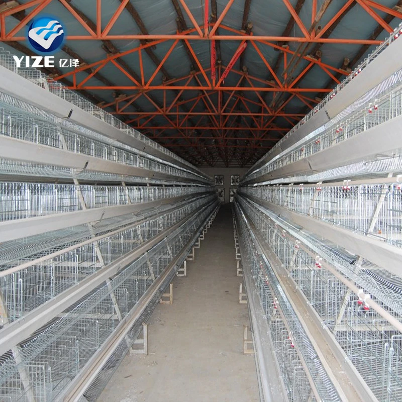 Design Layer Chicken Cages Customizable Galvanized Steel Poultry Enclosure