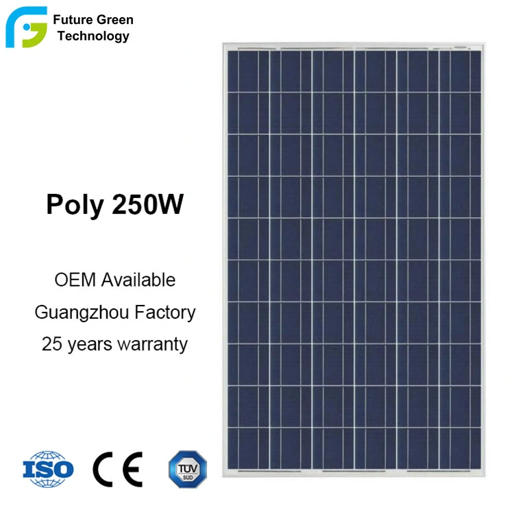 250W 30V Solar Module with 60 Poly Crystalline Silicon Cells