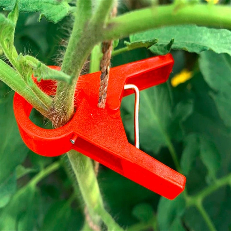 Wassermelone Gemüse Garten Tomate Trellis Clip Kunststoff-Pflanze Stützclip