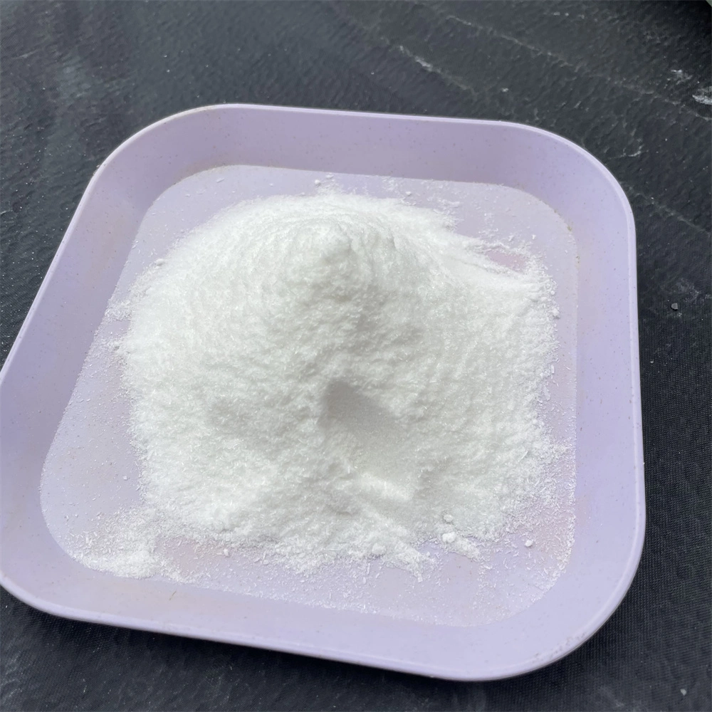 Food Grade Additive Sodium Phosphate Monobasic with 99% CAS 7558-80-7 Sodium Phosphate Monobasic