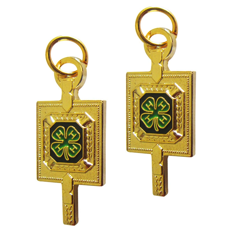 Fancy Design Soft Enamel Rose Promotion Souvenir at Factory Price Custom Design Antique Gold Bitcoin Metal Souvenir Key Chain Keyring