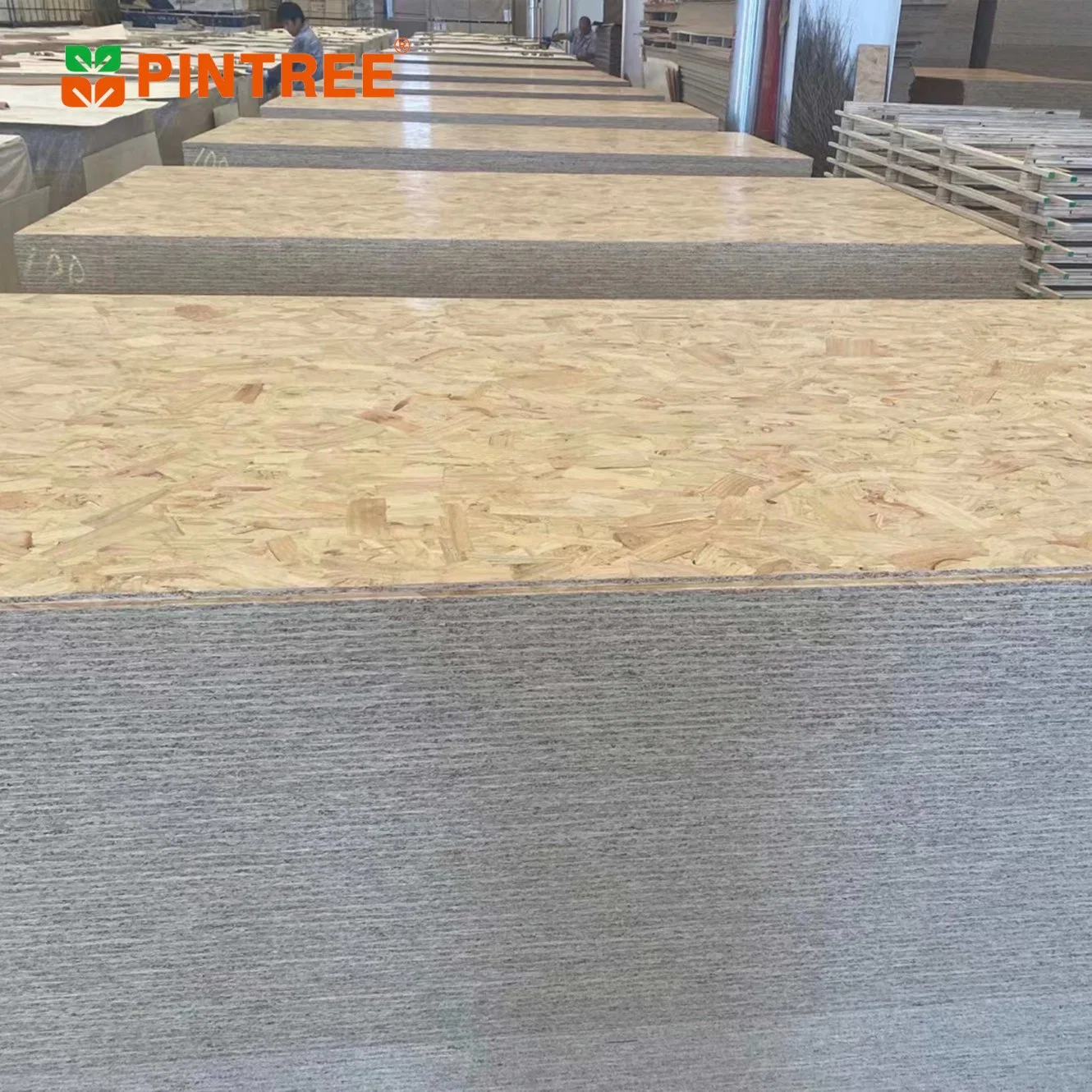 OSB2 OSB 3 9mm 11mm 12mm WBP estructural Raw normal impermeables de Álamo Pino Señor Mdi pegamento OSB para muebles