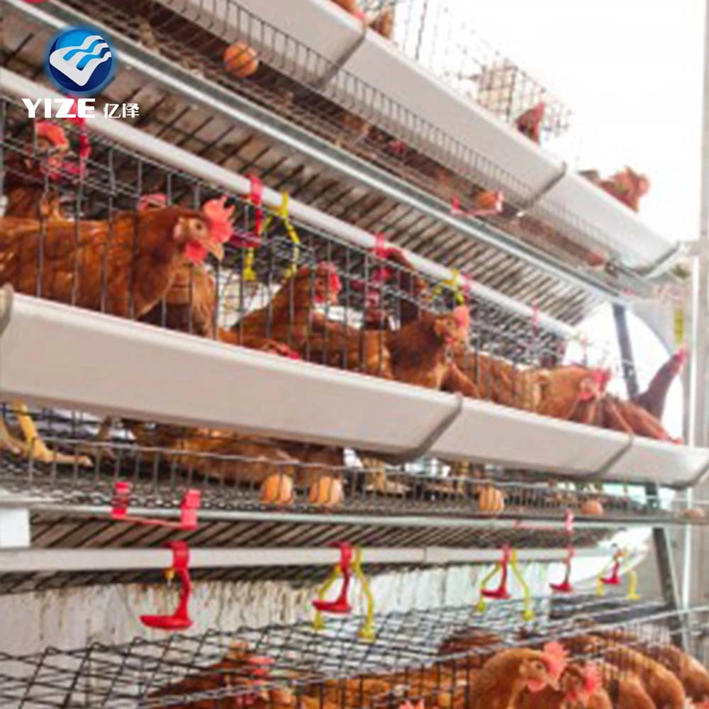 Porte de chargement automatique en acier galvanisé pour éleveuse Hen Coop à couche H-cage Hen Coop