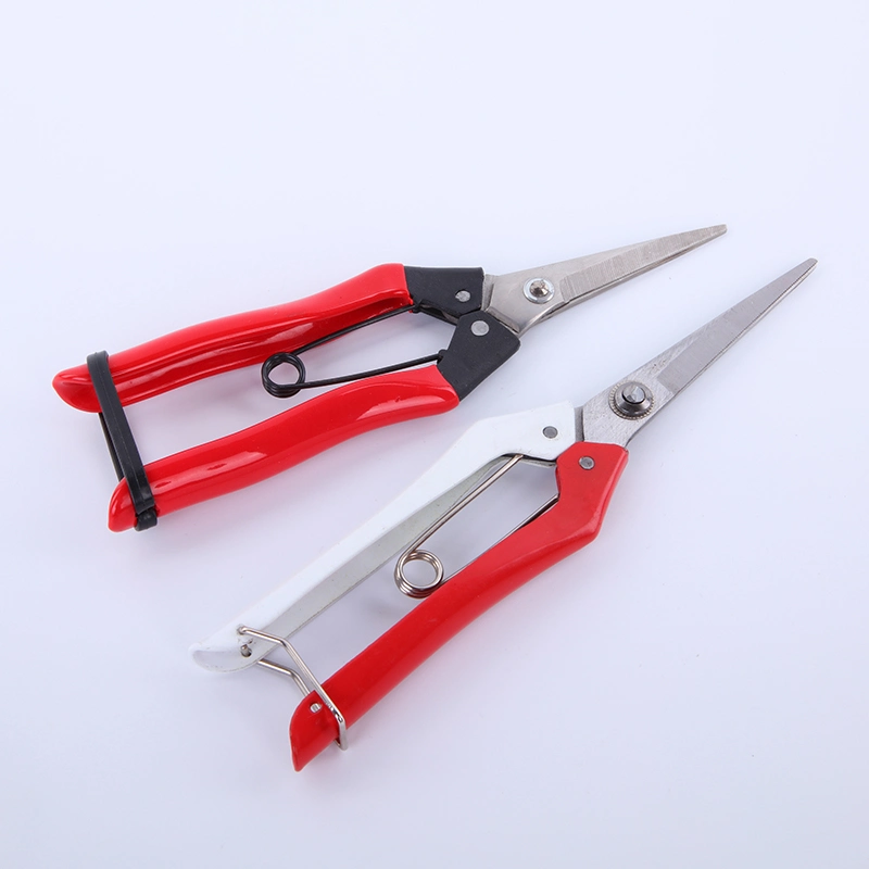 High Carbon Steel Bypass Secateurs