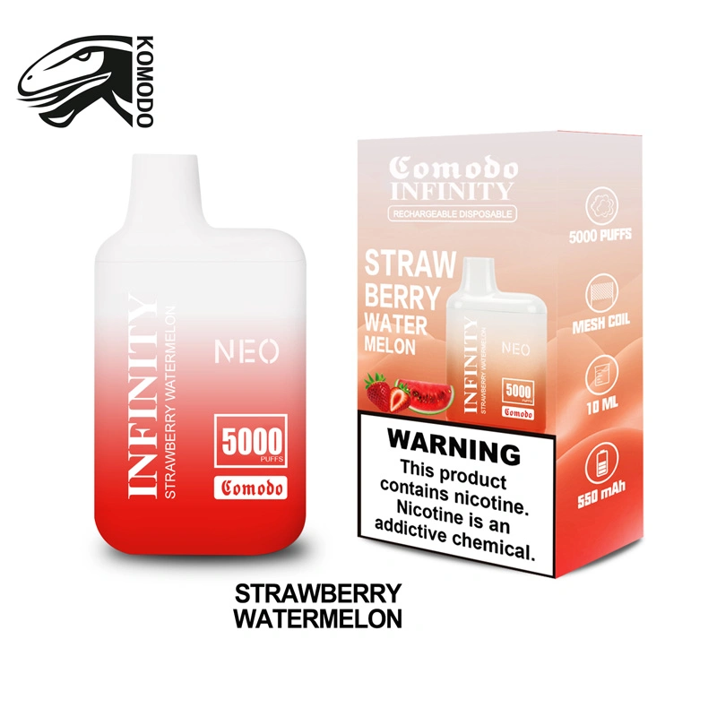 Rechargeable 0% Nicotine Disposable/Chargeable Vape 5000 Puff Flavor E Shisha Pen Mesh Coil Flavour 10 Plus