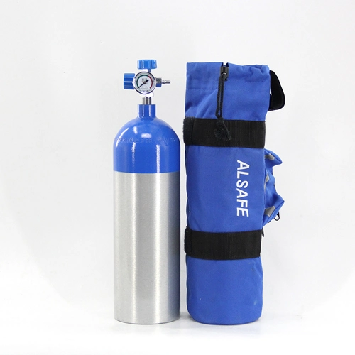 Portable Oxygen Tank with Mask and Nasal Cannula for Breathing