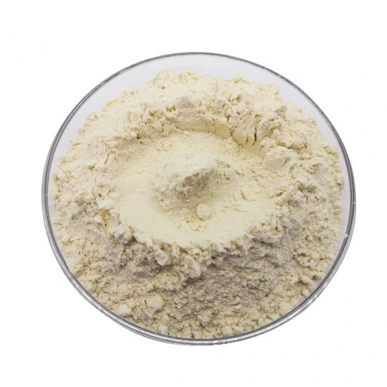 Best Quality Bulk Sales Factory Supply Vital Wheat Gluten Flour Vital Wheat