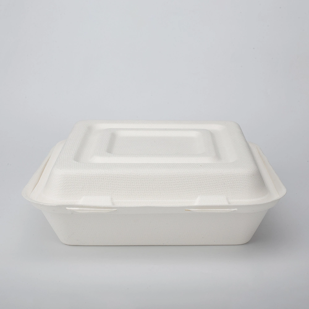 Compostable Sugar Cane Bagasse Paper Pulp Bento Lunch Box Disposable 3 Compartment Food Tray Container