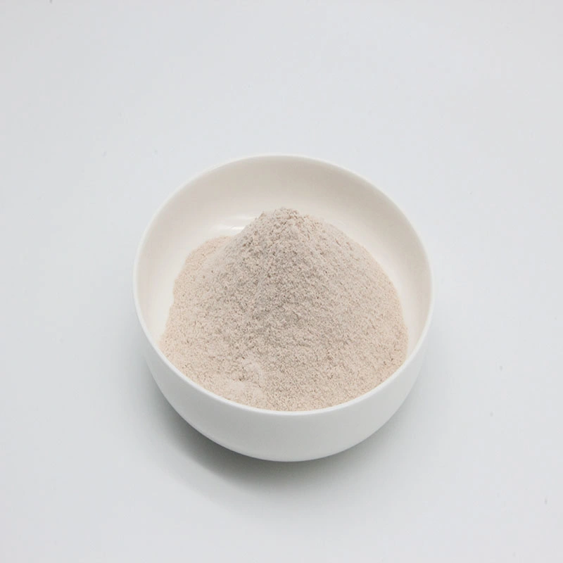 Cheap Price Clostridium Butyricum Fish Probiotic Powder Clostridium Butyricum Powder