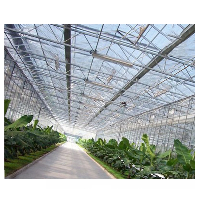 Warm Keeping Waterproof Customized Size Aluminum Agricultural Greenhouse