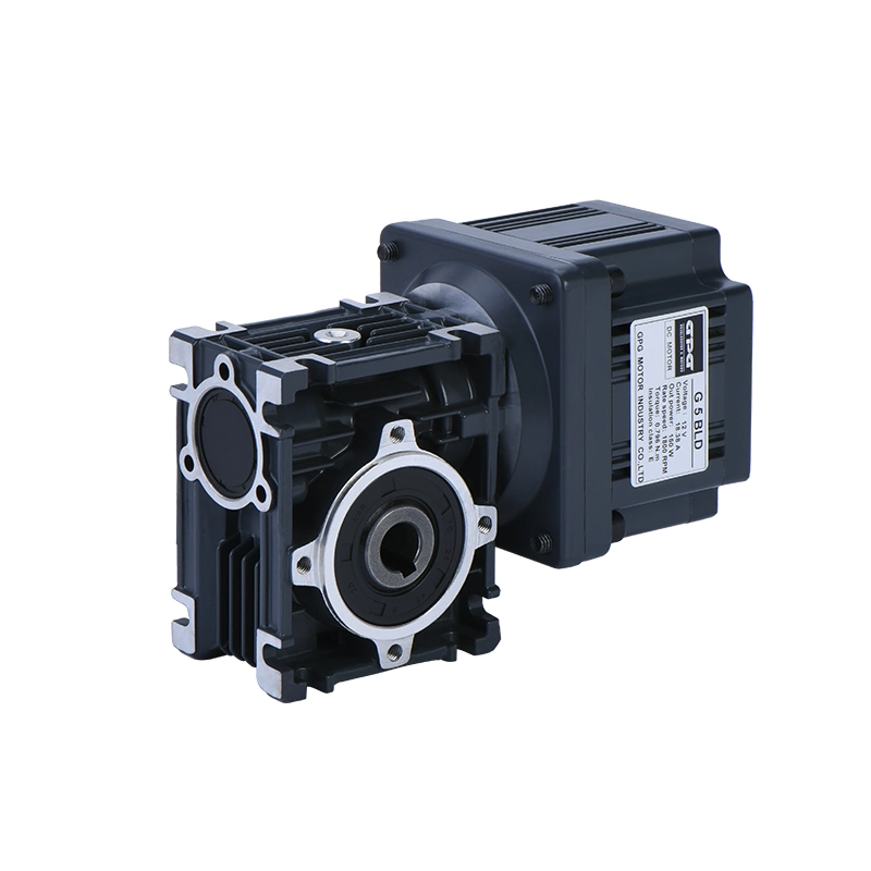 China Manufactory Durable DC Brushless/Brush Electrical BLDC Gear Motor Low Noise Mini Worm Gearbox for Industry 24V/12V