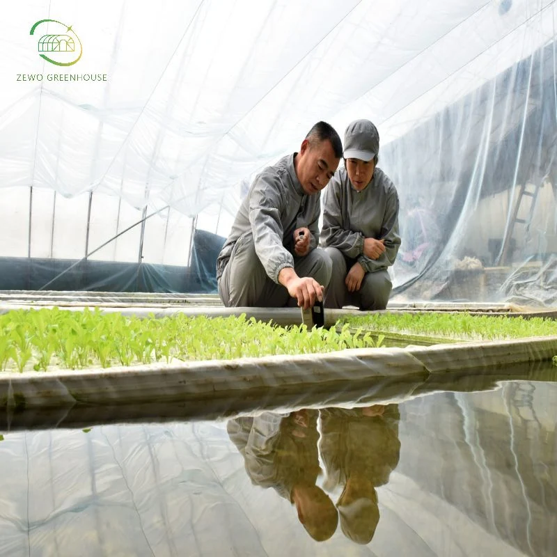 Fabrik Preis Hohe Qualität Hydroponics Aquaponics System Vertikal Nft Wächst Salat Der Farm