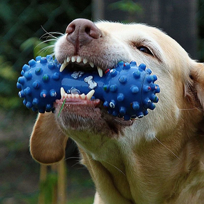 No tóxico de dentición juguetes resistente a la mordedura de perro de mascota bolas