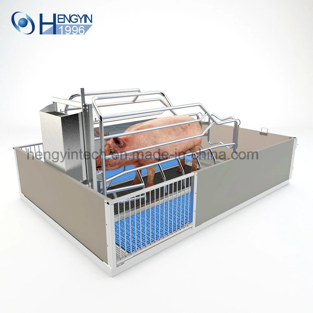 Strong Durable Mother Pig Crate