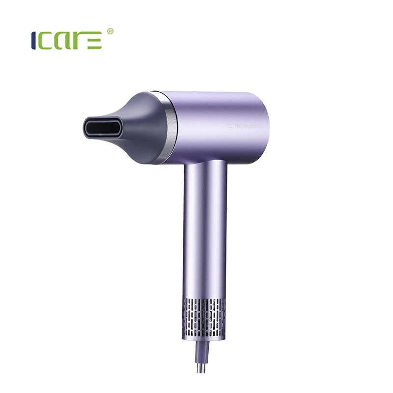 Professional Compact DC Motor Hair Dryer