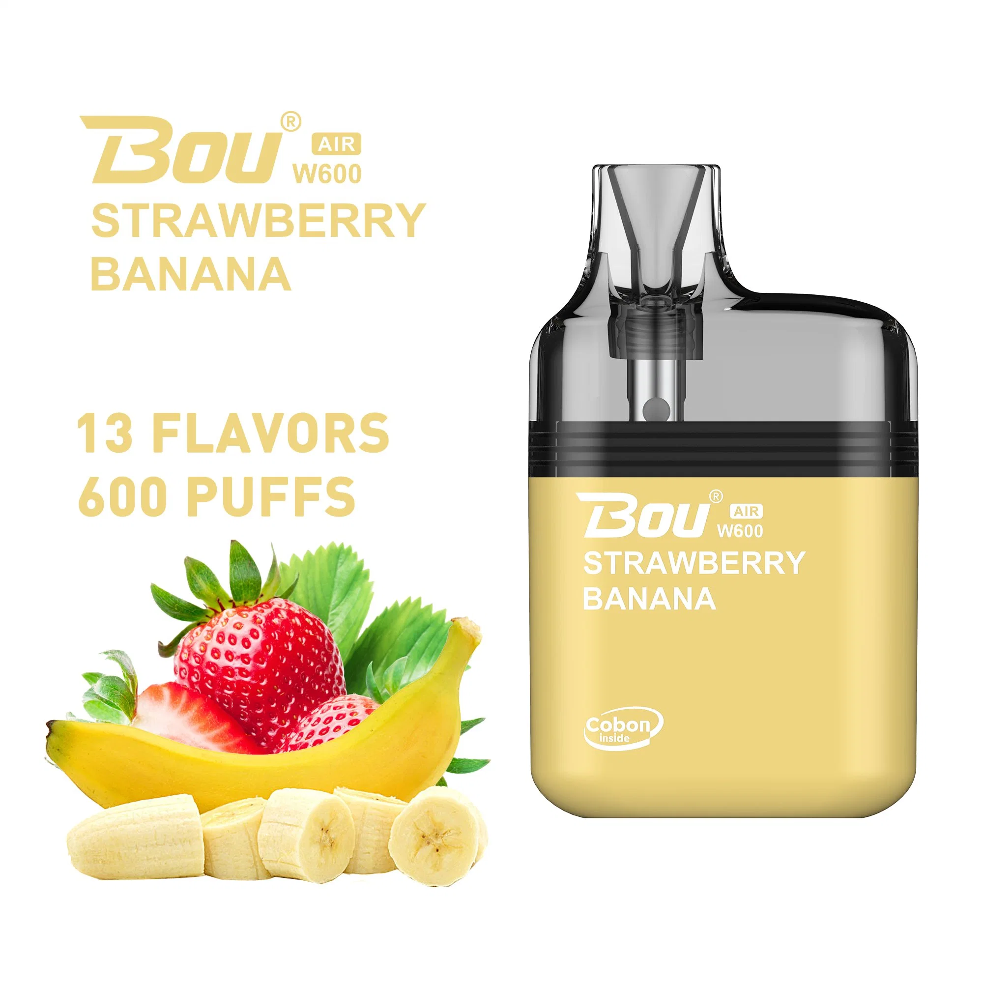 Vente en gros Vape Disposable/Chargeable Device 600 puffs Mini E cigarette avec Saveur de fruit personnalisée