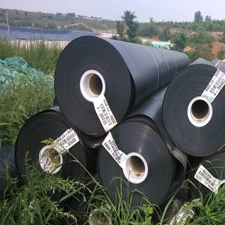 Superfície Brilhante Jubo geomembrana de HDPE para lago com peixes Project