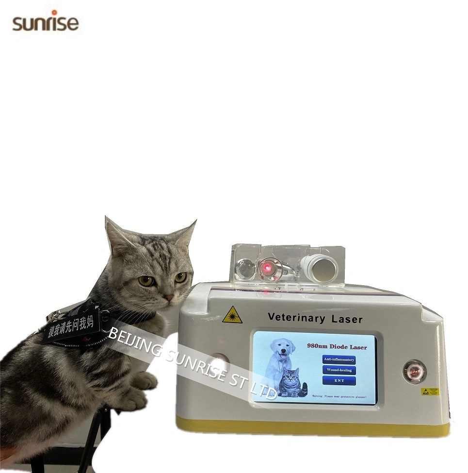 Professional Pets Health Care Veterinary Laser Intrument Portable High Quality 980 Laser Diode Veterinary Laser Joints Pain Relief Physiotheapy Machine