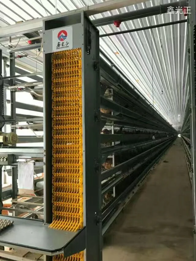 Anuncio Prefabricados de acero estructura Broiler Chicken House con equipo automático