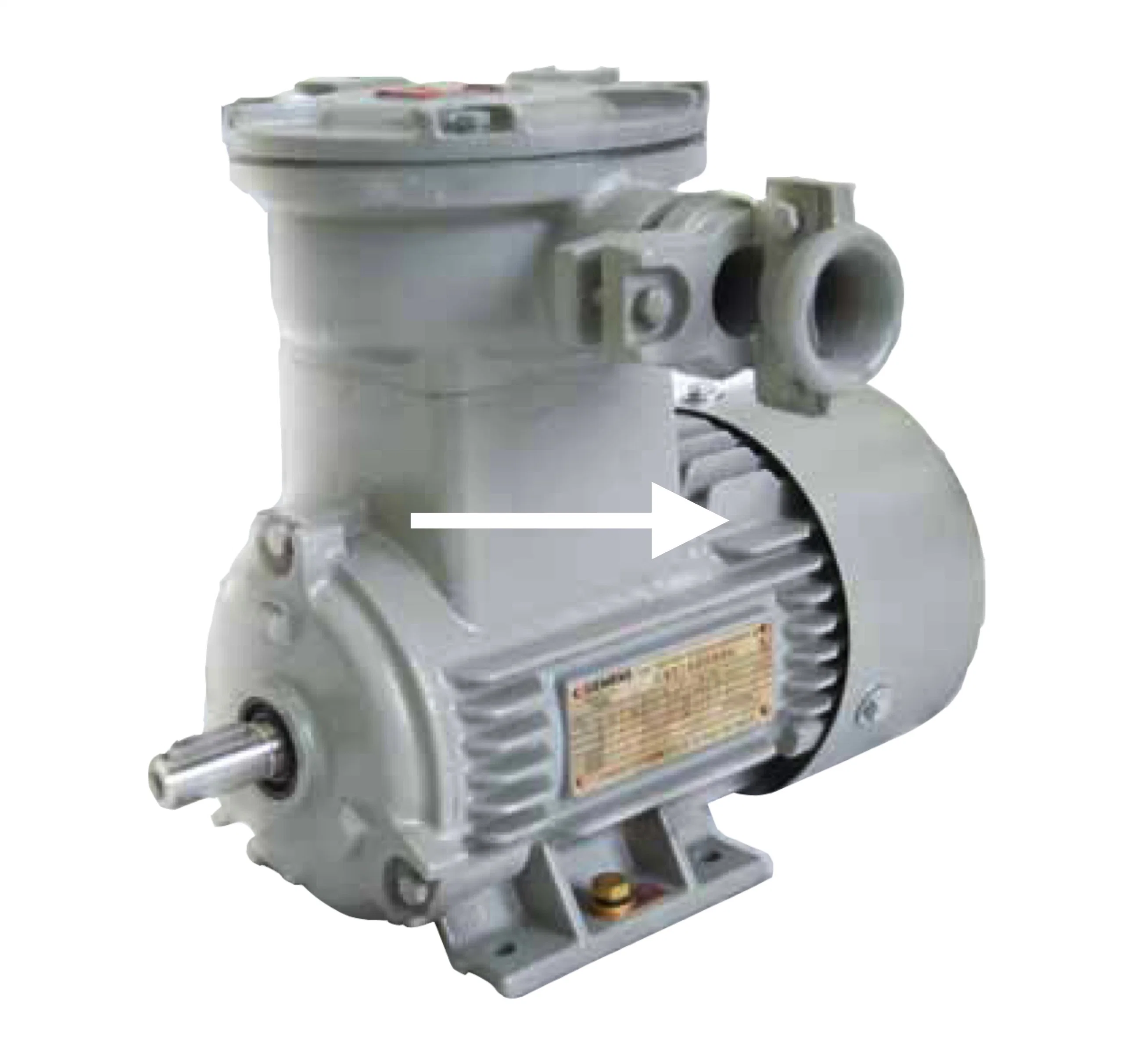 Siemens China High Efficiency 3 Phase Low Voltage Induction Cast Iron AC Electric Motors