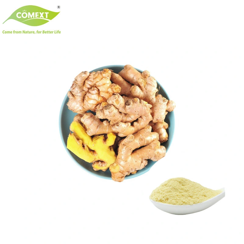 Free Sample Free Sample Zingiber Officinale Extract Gingerols Ginger Extract for Food Additives