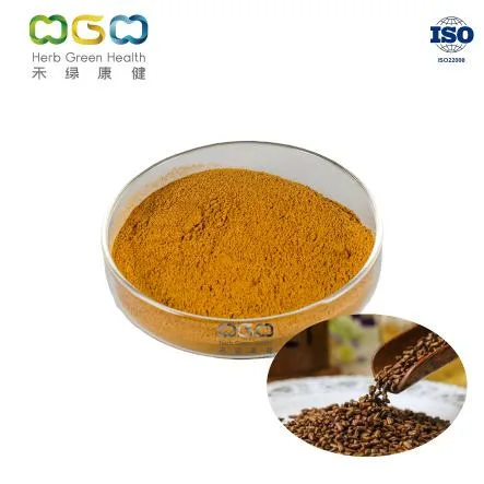 ISO Certified Factory Herbal Total Flavonoids 2% Natural Cassia Seed Extract