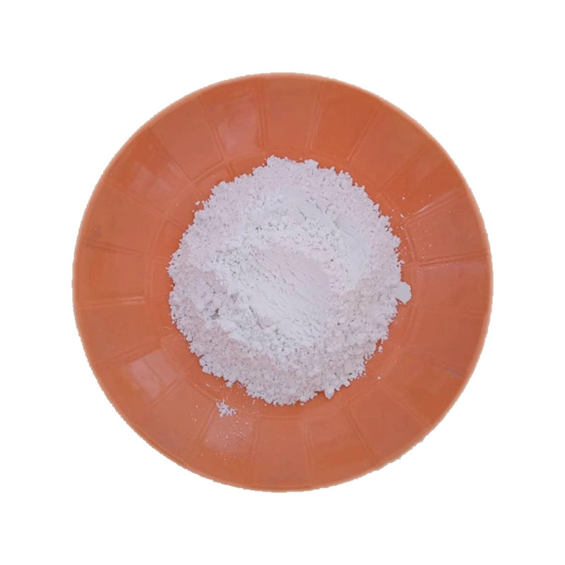 Factory Supply Magnesium Aluminium Silicate Powder for Paint/Coating