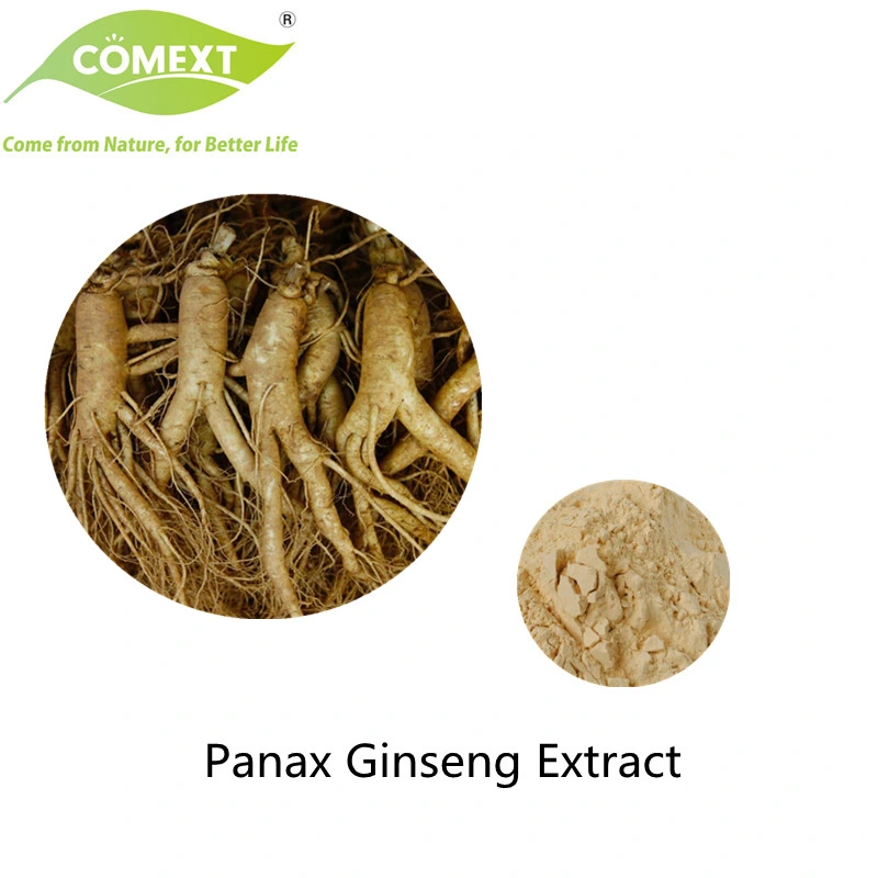 Comext Panax Ginseng Leaf Extract 4%-80% Ginsenoside Healthy High quality/High cost performance  Plant Extract Herbal Extract Natural with Best Price Ginseng Powder