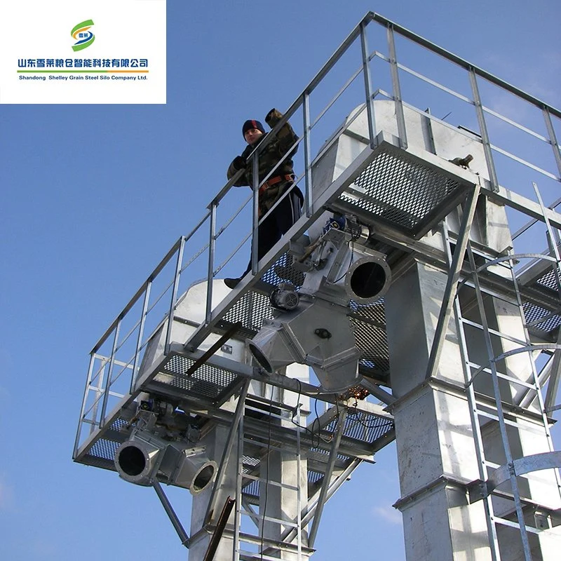 Pequeño elevador de cangilones de tolva de la máquina para el transporte de grano