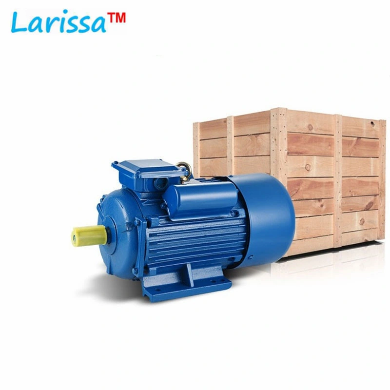 Yc/Yl Single Phase Induction Motor