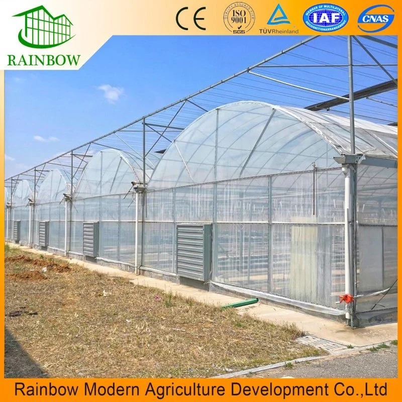 Smart Agricultural Multi Span Arch-Type Film PE/Po Greenhouse for Vertical Farming Agriculture of Vegetables/Flowers/Tomato/Garden with Hydroponics System